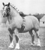 Farceur