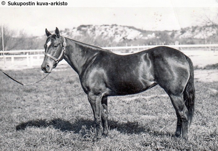 Kuva