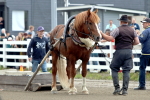 Outisen Laakeri