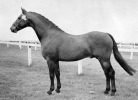 Chirk Caradoc