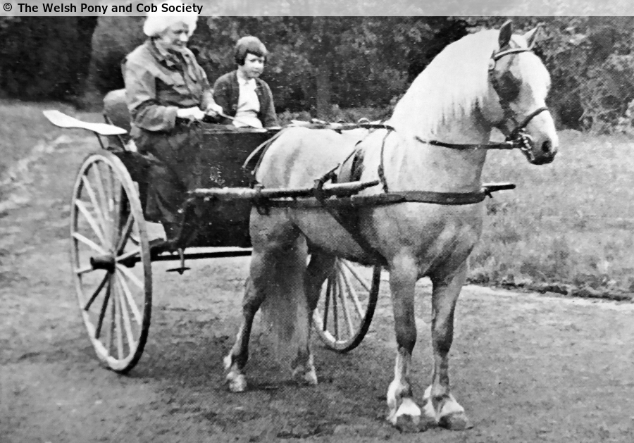 Kuva