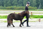 Goldenwild's Ginny