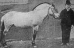 Gange Rolv I