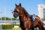Evartti