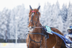 Pirttilän Niilo