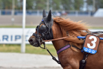 Pirttirannan Gilda