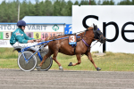 Pirttirannan Gilda