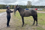 Ojanteen Tuhka