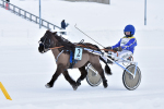 Leijonamielen Leo