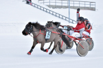 Mäntylahen Tuimaepeli