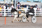 Eye-Catcher