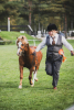 Cloudberry Mr Darcy