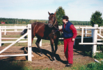 Sugarcane Hanover